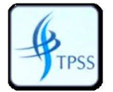 traffer power systems solution pvt ltd